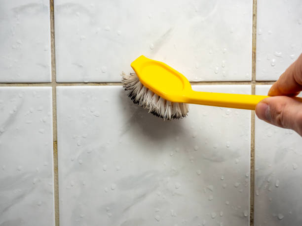 Best Black Mold Removal  in Pewee Valley, KY